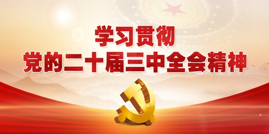 學(xué)習(xí)貫徹黨的二十屆三中全會(huì)精神